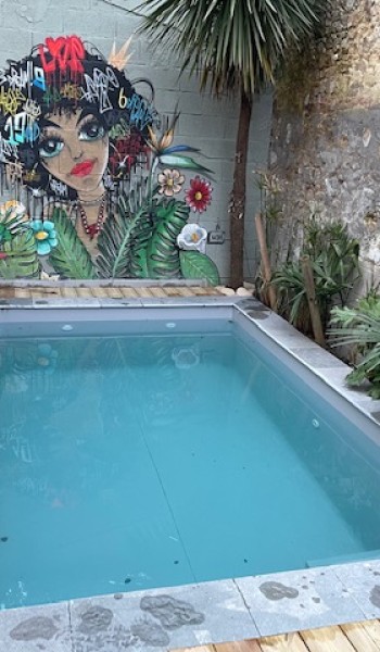 Mini Piscine vendée